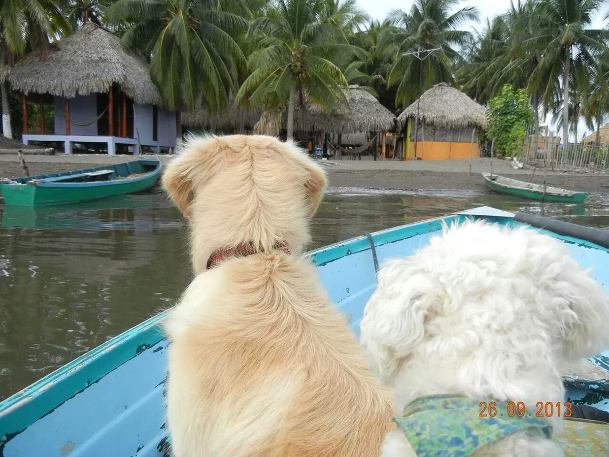 Eco-Hotel Playa Quilombo Las Lisas Eksteriør bilde