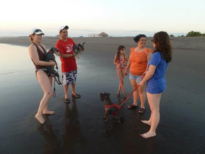 Eco-Hotel Playa Quilombo Las Lisas Eksteriør bilde